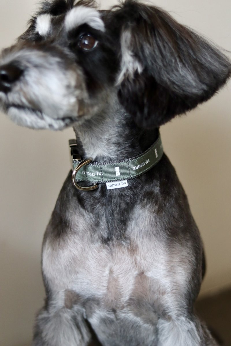 土台:グレー/リボン:ダルカーキ/金具:シルバー