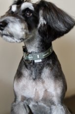 土台:グレー/リボン:ダルカーキ/金具:シルバー