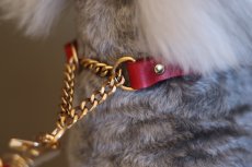 画像16: HALF CHOKE COLLAR【レザーオーダー】 (16)