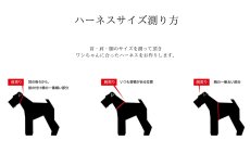 画像2: LEATHER HARNESS【レザーオーダー】 (2)