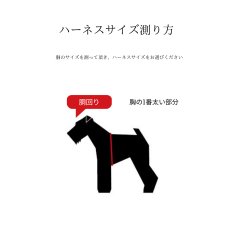 画像3: TAG 25 ハーネス【クロスオーダー】 (3)