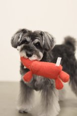 画像4: su-ha kun TOY (4)