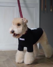 mmsu-ha犬用ハイネックTシャツ/ブラック/モデル：レイクランドテリア
