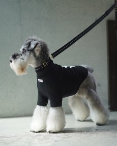 mmsu-ha犬用ハイネックTシャツ/ブラック/ミニチュアシュナウザー