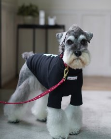mmsu-ha犬用ハイネックTシャツ/ブラック/ミニチュアシュナウザー