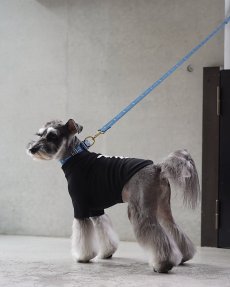 mmsu-ha犬用ハイネックTシャツ/ブラック/ミニチュアシュナウザー