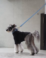 mmsu-ha犬用ハイネックTシャツ/ブラック/ミニチュアシュナウザー