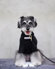 mmsu-ha犬用ハイネックTシャツ/ブラック/ミニチュアシュナウザー