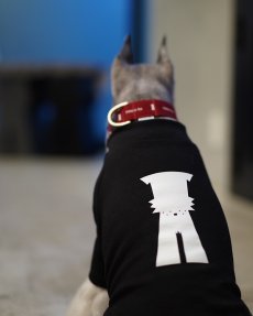 mmsu-ha犬用ハイネックTシャツ/ブラック/ミニチュアシュナウザー