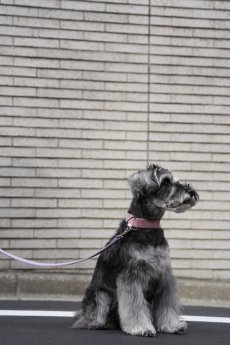 画像11: オンライン数量限定受付 クロス MY NAME SPECIAL ~Antique Pink × Pastel purple~【クロスオーダー】 (11)