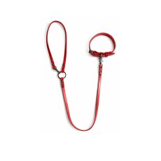 画像17: LEATHER COLLAR & LEAD 【レザーオーダー】 (17)
