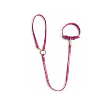 画像16: LEATHER COLLAR & LEAD 【レザーオーダー】 (16)