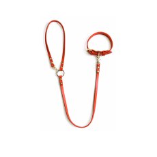 画像15: LEATHER COLLAR & LEAD 【レザーオーダー】 (15)
