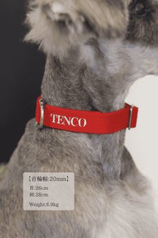 画像6: 【NEW】MY NAME 刺繍 首輪・リードセット【クロスオーダー】 (6)