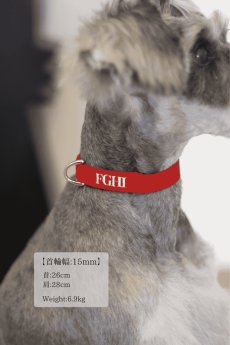 画像5: 【NEW】MY NAME 刺繍 首輪・リードセット【クロスオーダー】 (5)