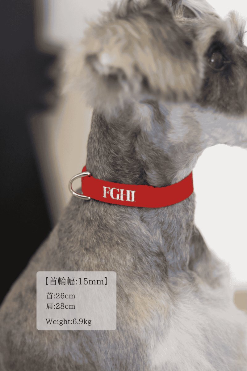MY NAME 刺繍首輪・リード オーダー