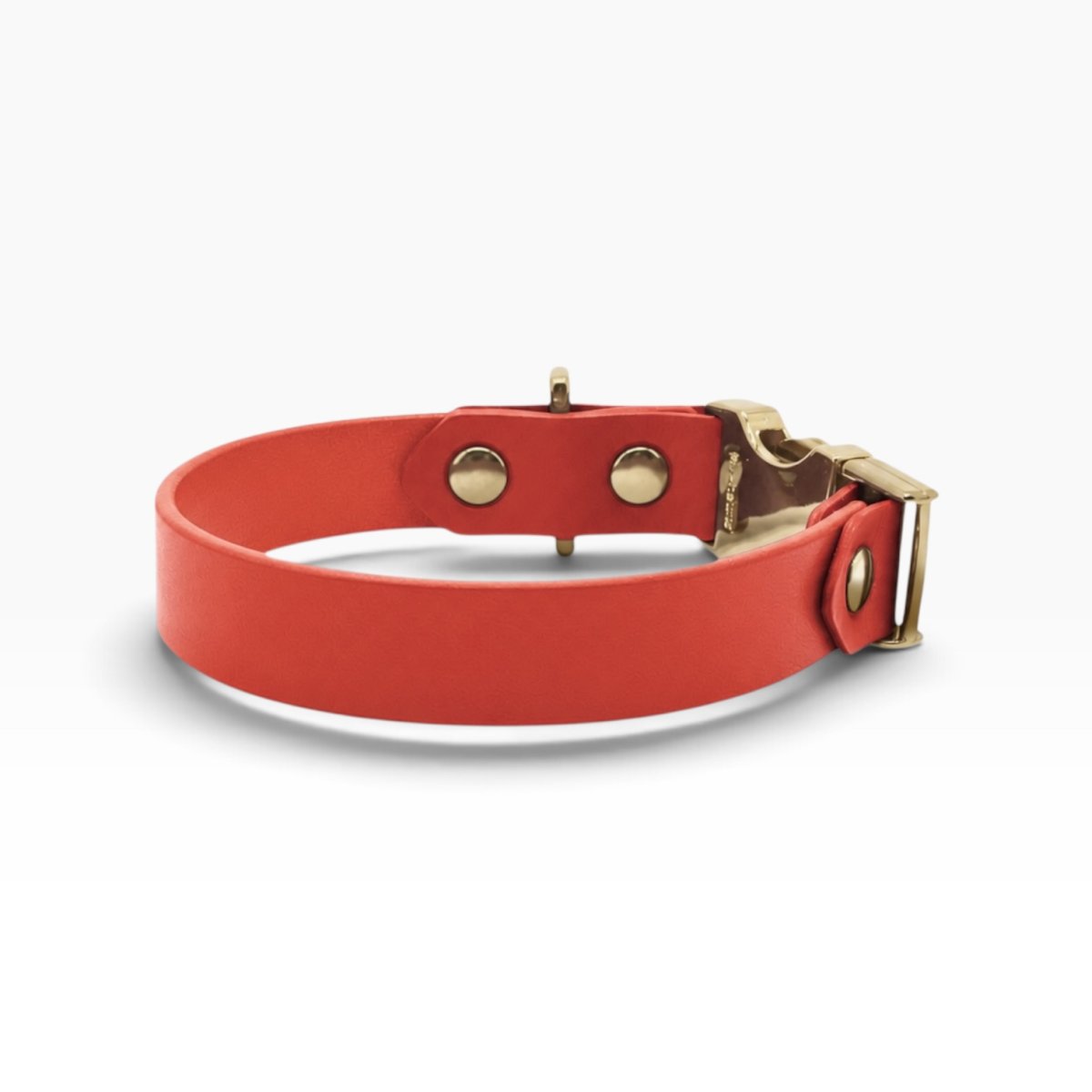 mmsu-haオリジナルONE SIZE COLLAR/ワンサイズカラー/色：オレンジ/金具色：ゴールド