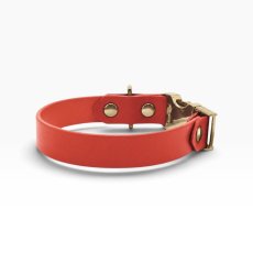 mmsu-haオリジナルONE SIZE COLLAR/ワンサイズカラー/色：オレンジ/金具色：ゴールド