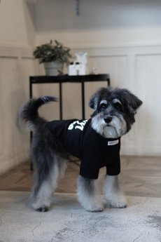 画像14: 【dog】NIGHT GLOW ハイネックTシャツ【ブラック】【mmsu-ha】 (14)
