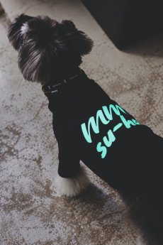 画像4: 【dog】NIGHT GLOW ハイネックTシャツ【ブラック】【mmsu-ha】 (4)