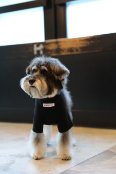 画像13: 【dog】NIGHT GLOW ハイネックTシャツ【ブラック】【mmsu-ha】 (13)