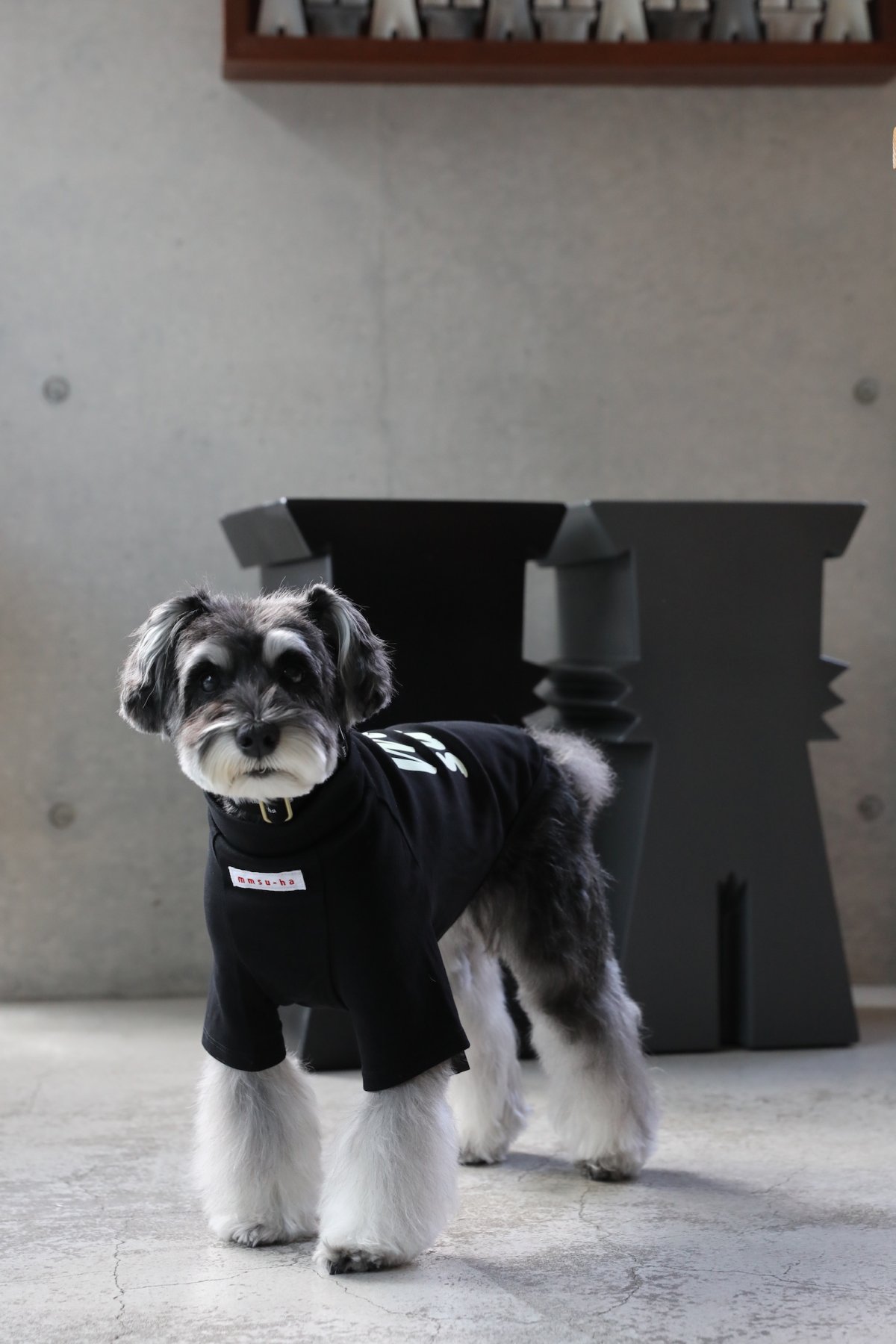 画像12: 【dog】NIGHT GLOW ハイネックTシャツ【ブラック】【mmsu-ha】 (12)