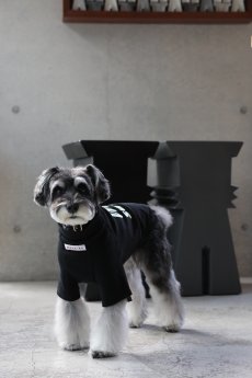 画像12: 【dog】NIGHT GLOW ハイネックTシャツ【ブラック】【mmsu-ha】 (12)