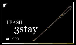 犬ブランドリード