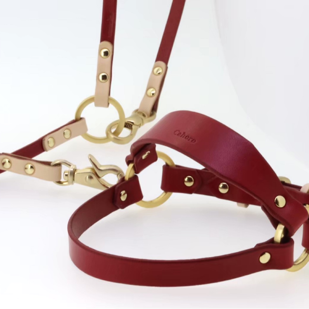 トイプードル3kg× LEATHER HARNESS/レザーハーネス/胴輪