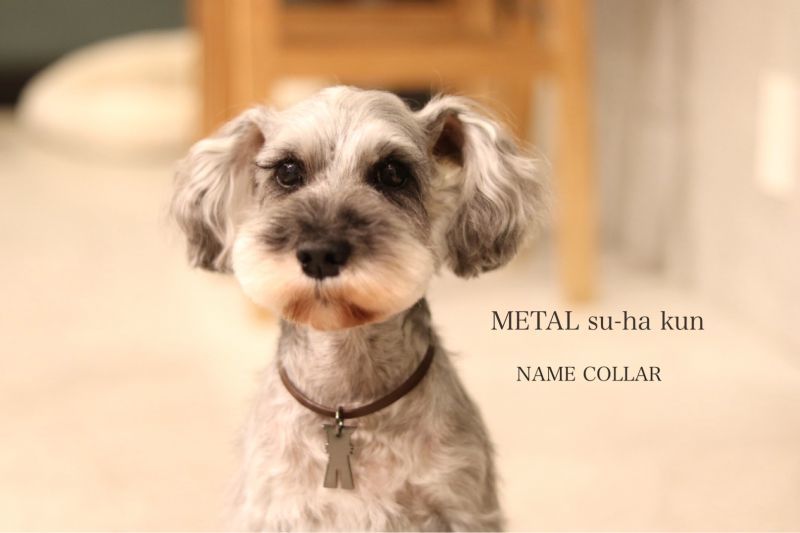 METAL su-ha kun NAME COLLAR