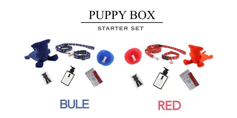 仔犬にオススメ【PUPPY BOX】再入荷！ - What's New ページ シュナウザー、テリアの為に。mmsu-ha（エムエムスーハ