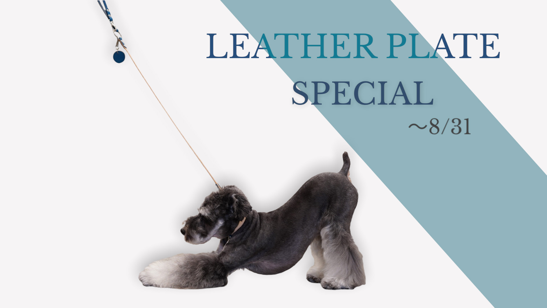 【8/31まで】大人気 LEATHER PLATE SPECIAL BLUE