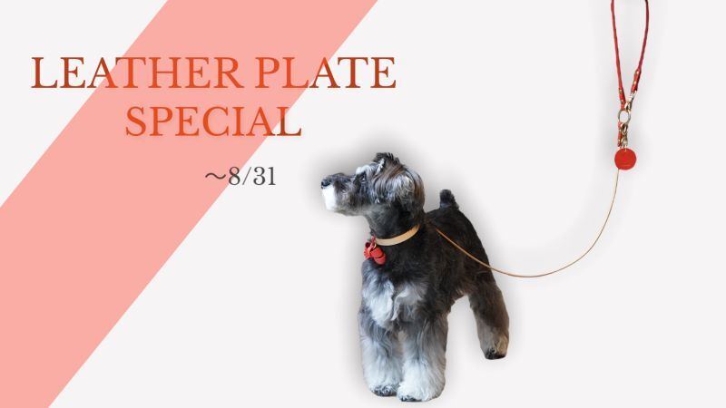 【8/31まで】大人気 LEATHER PLATE SPECIAL ORANGE