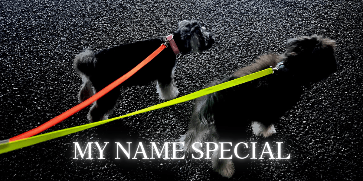 【オンライン2日間限定受注販売/MY NAME SPECIAL発売のお知らせ】