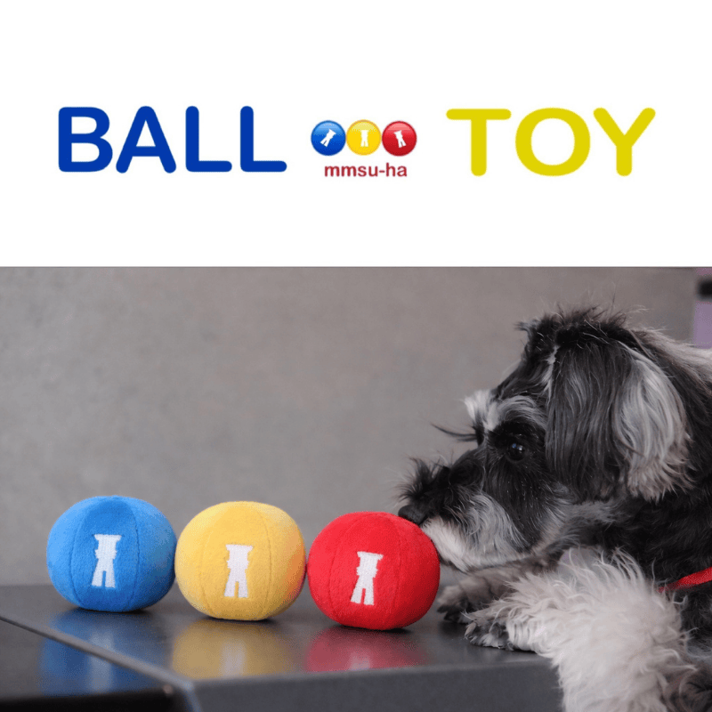 【BALL TOY〈su-ha kun〉リニューアル・再入荷のお知らせ】