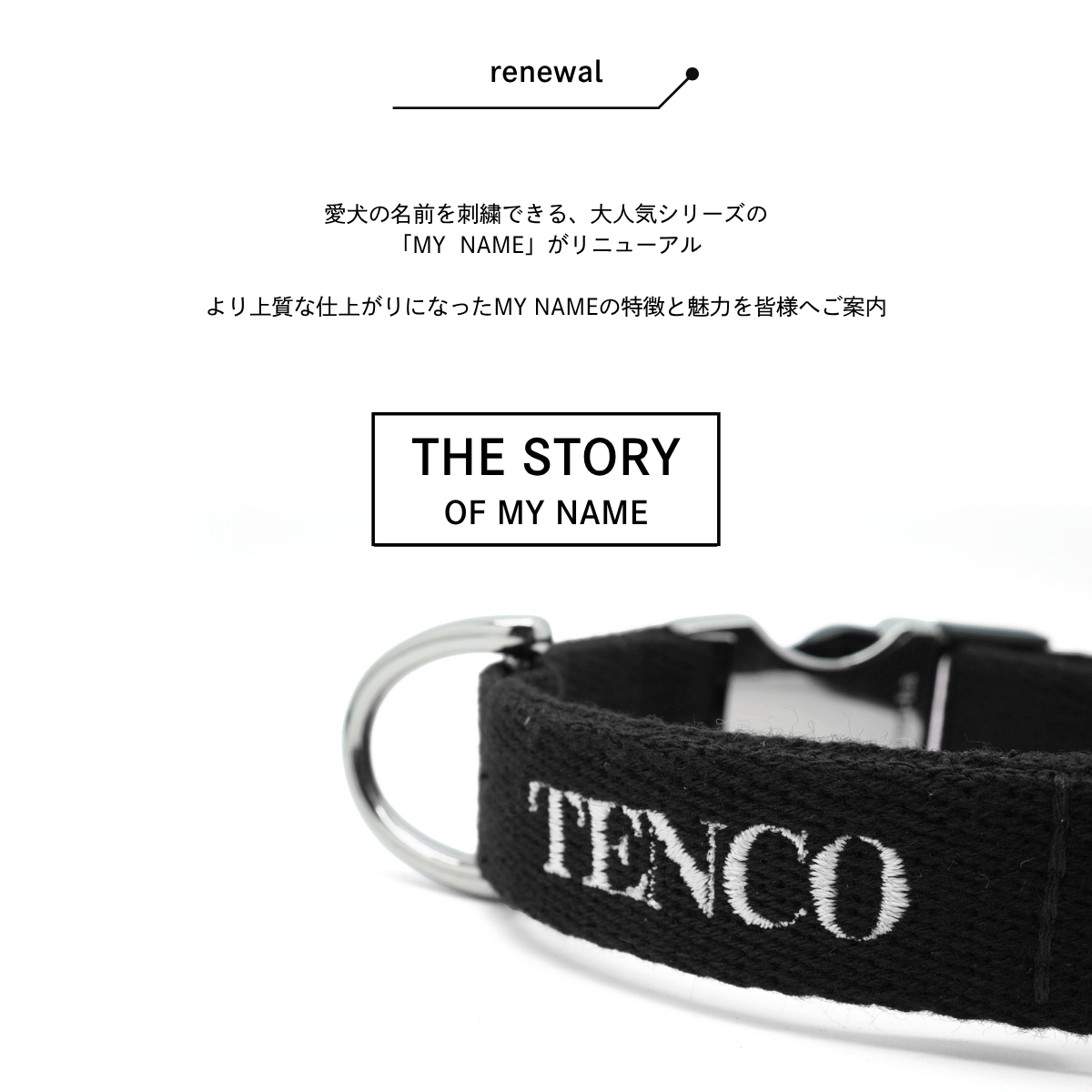 THE STORY OF MY NAME