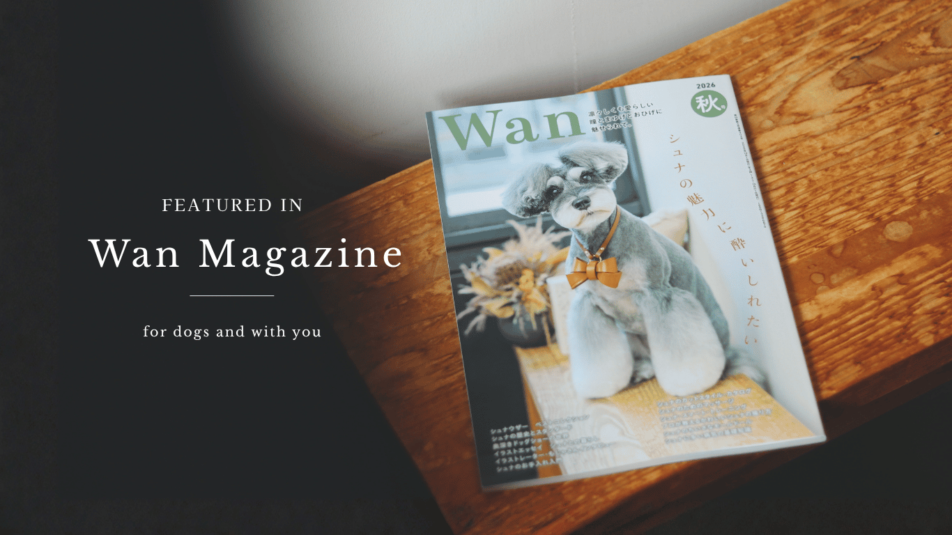 【雑誌Wan10月号にトリミングカットスタイルを掲載していただきました】
