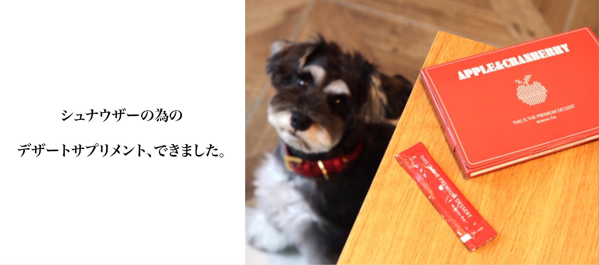 エムエムスーハ Mmsu Ha公式オンラインショップ 中目黒本店 代々木上原店 エムエムスーハ Mmsu Ha公式オンラインショップ 中目黒本店 代々木上原店
