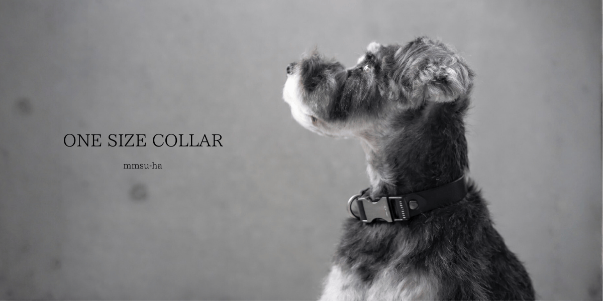 ワンタッチバックル首輪