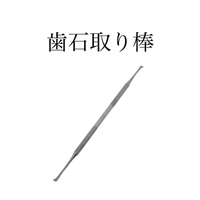 犬用歯石取り棒