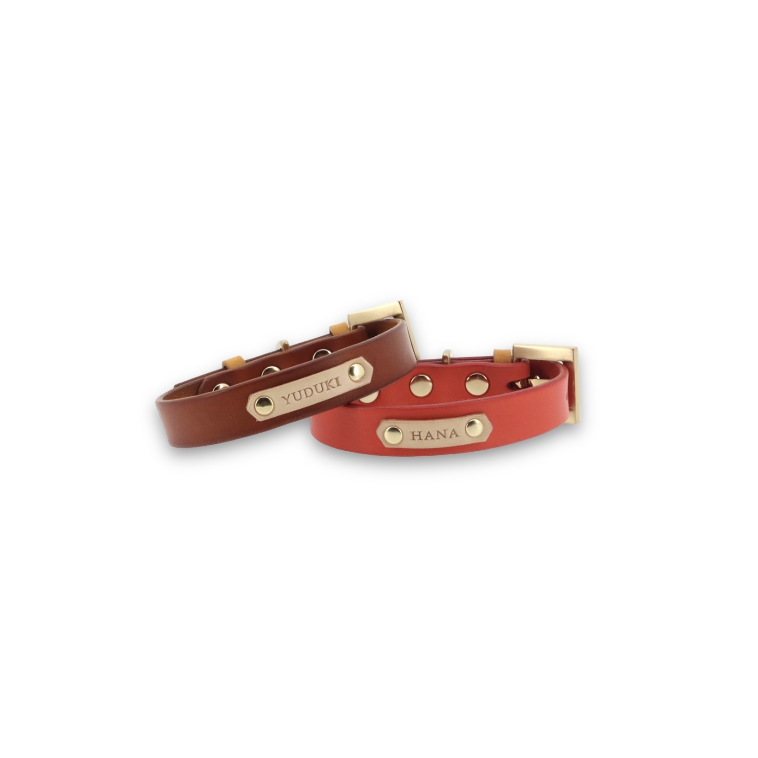 Collar best sale name plate