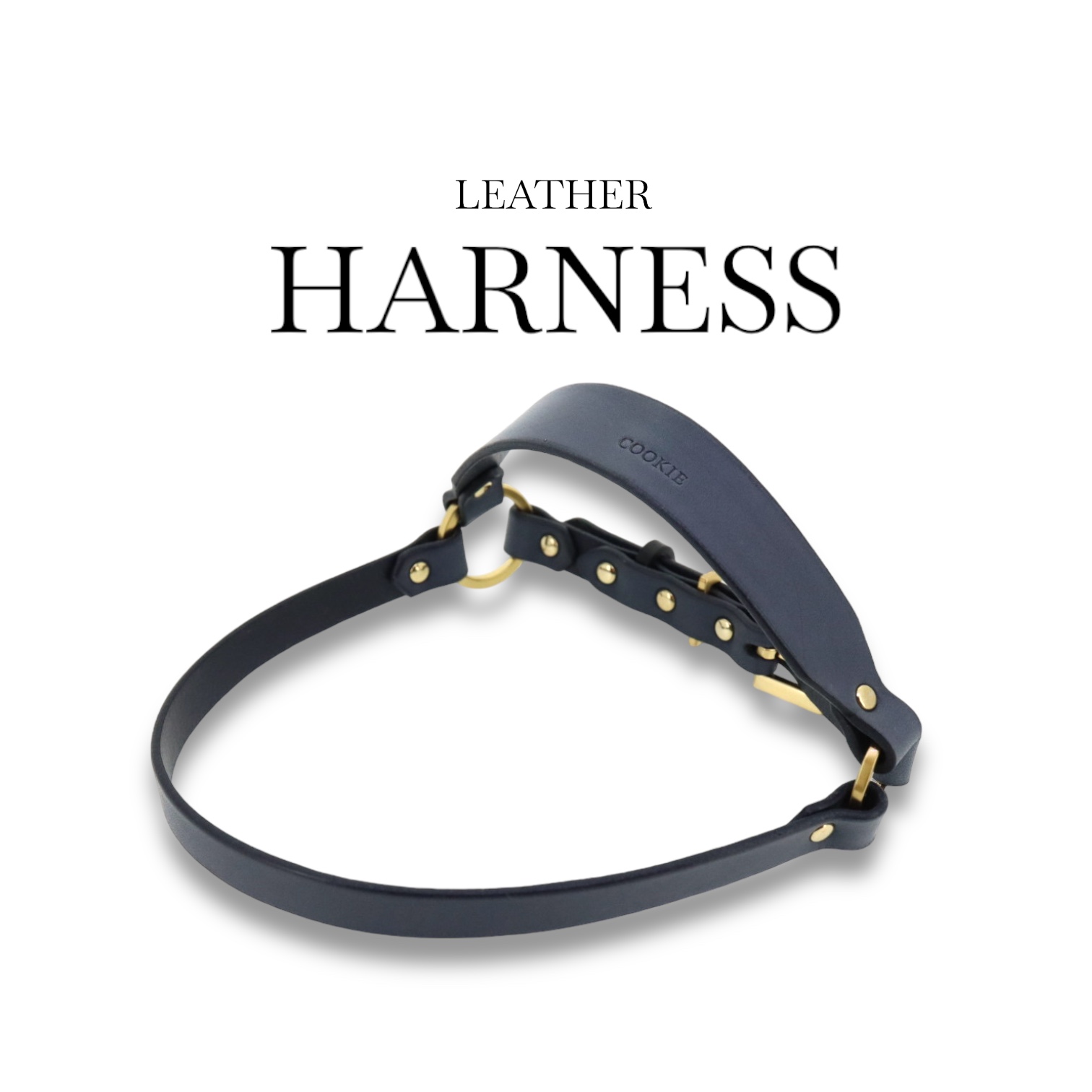 LEATHER HARNESS【レザーオーダー】