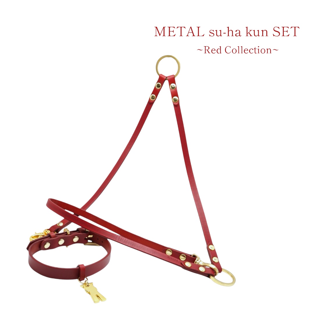 【Red Collection】METAL su-ha kun 首輪・リードセット 【レザーオーダー】